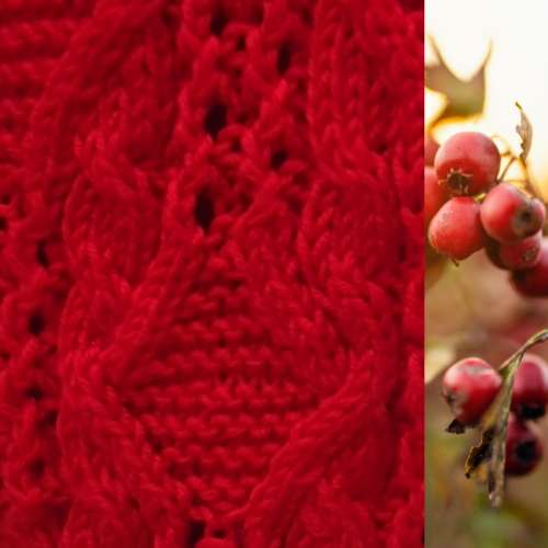 red rosehip colours and texture