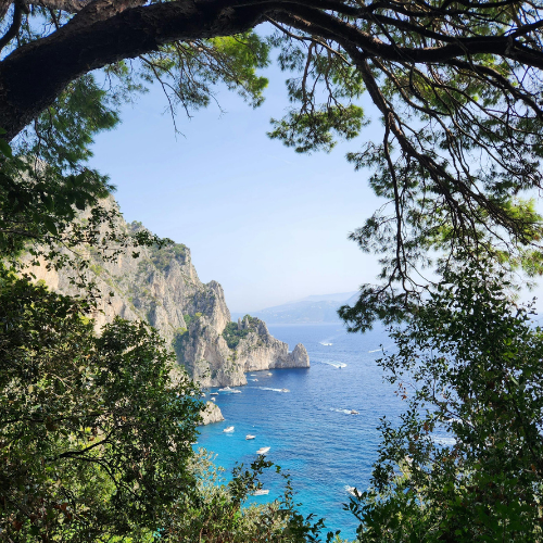 through the pines a capri sea view
