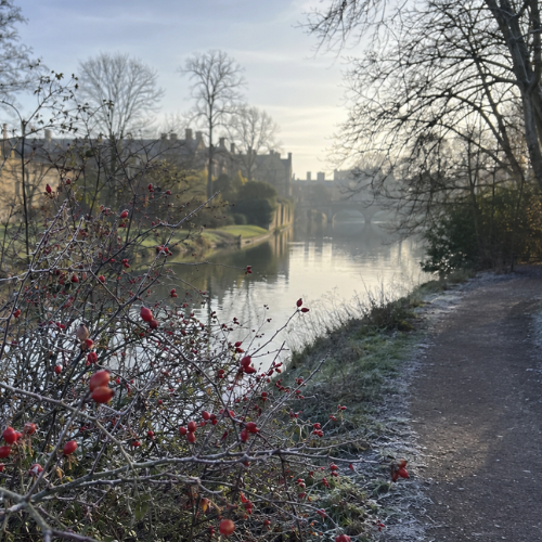 river cam in the winter
